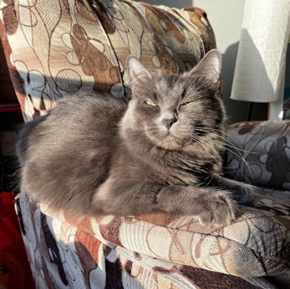 Meet your Posher, Romain - Picture 1 of 1